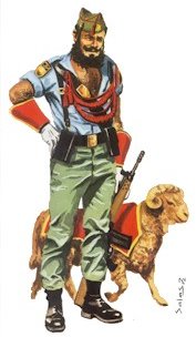 Legionario espanol